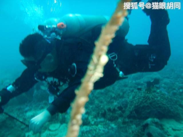 宠物世界聚会